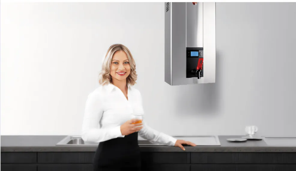 Rheem Lazer boiling water unit, durable and reliable for daily commercial use.